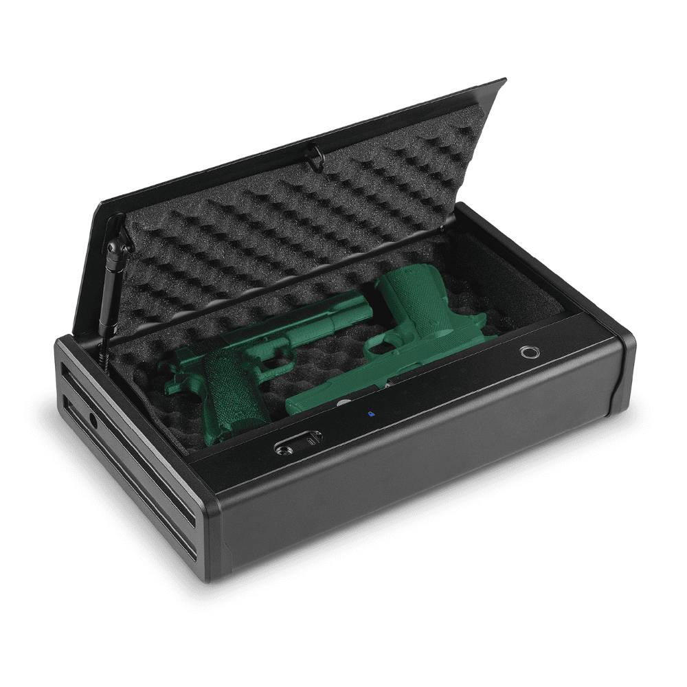 Armero Biométrico para 2 Armas Cortas - Imagen 2